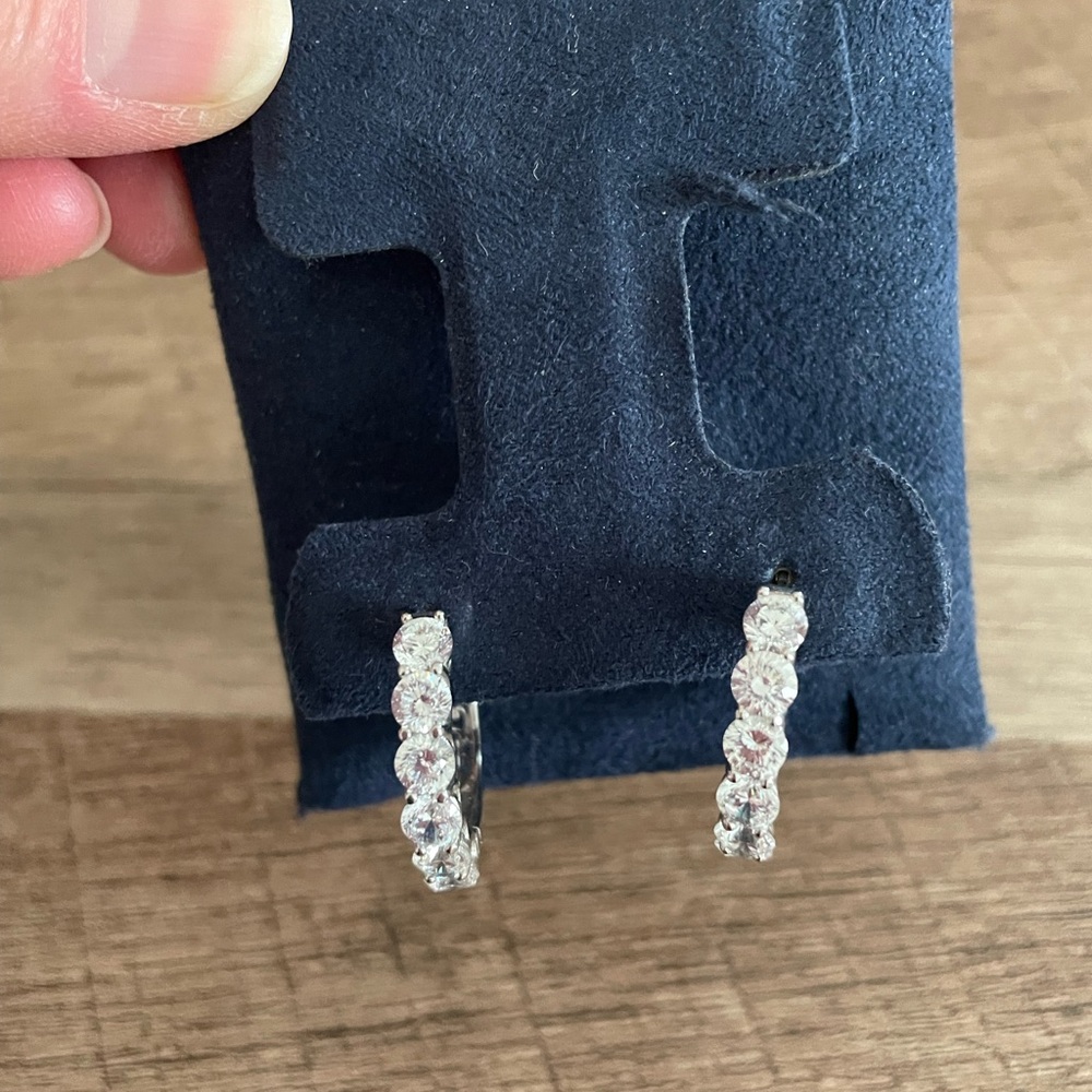 Elegant Silver Hoop Earrings